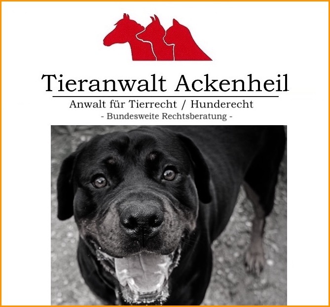 Hundehalter Erlaubnis anderer Länder gelten auch für NRW Anwalt für Hunderecht Ackenheil