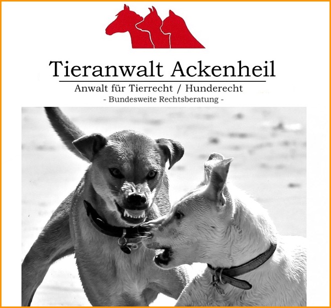Anwalt für Hundebiss Anzeige Ackenheil