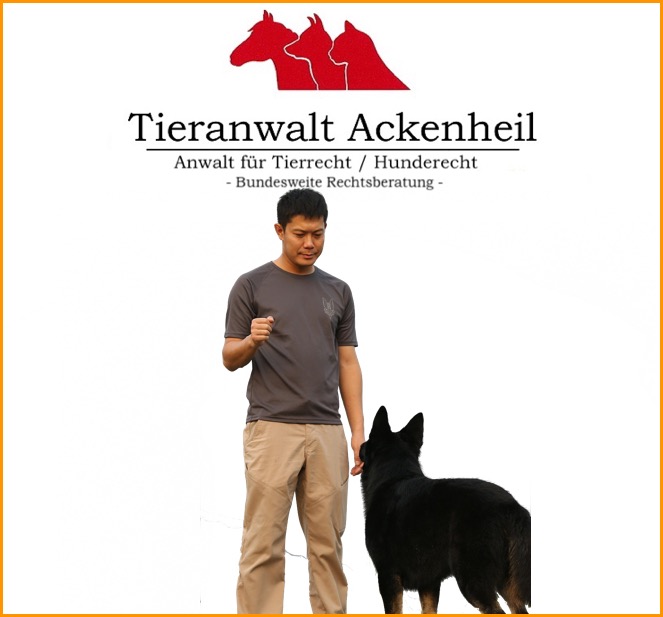 Hundetrainer Hundeschule Anwalt Ackenheil