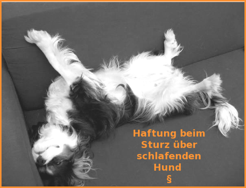 schlafende hunde anwalt