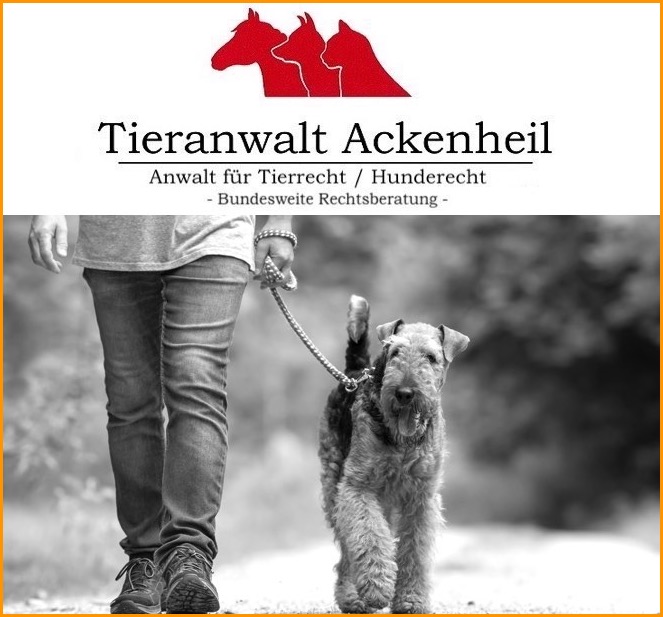 hund mit bestandenen Wesenstest als gefaehrlich eingestuft