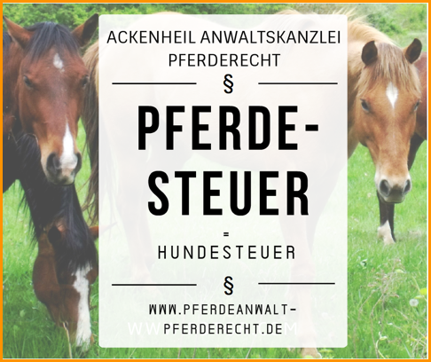 PFERDESTEUER