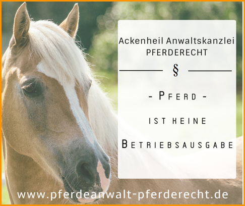 pferdrecht anwalt pferd